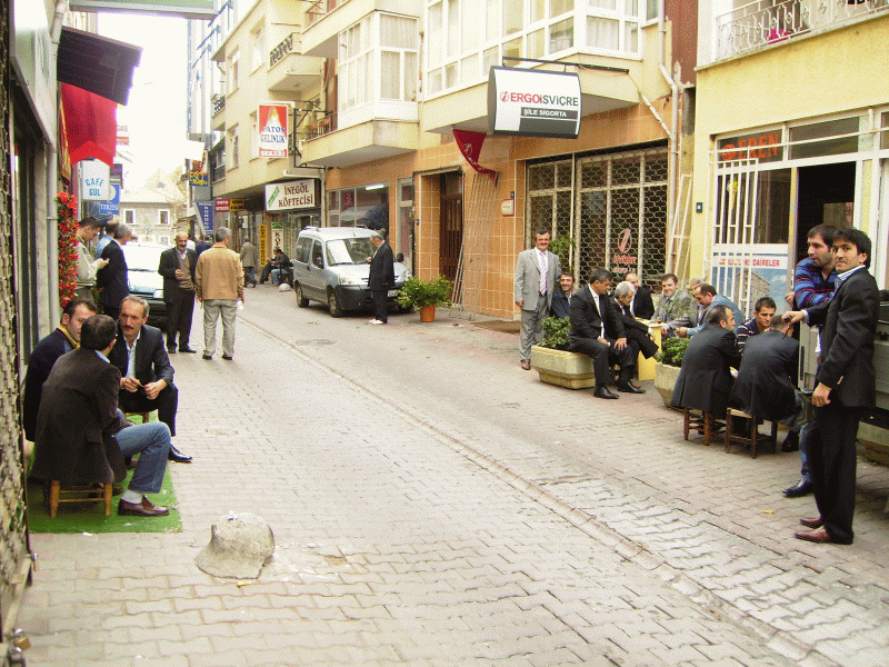 Cesitli