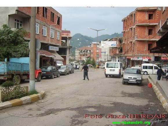 Cesitli