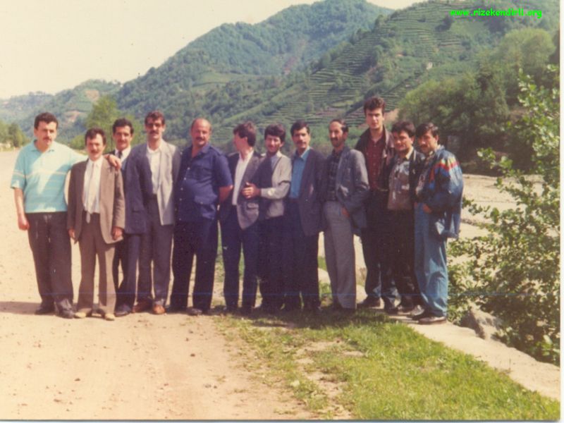 Cesitli