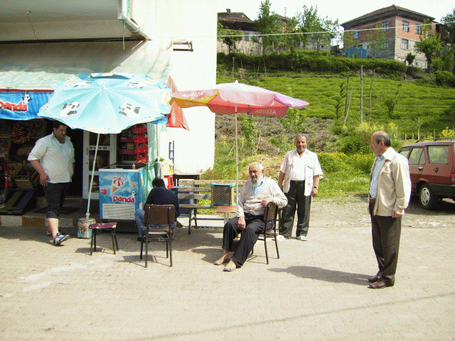 Cesitli