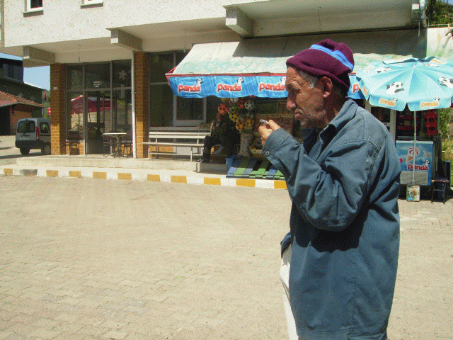 Cesitli
