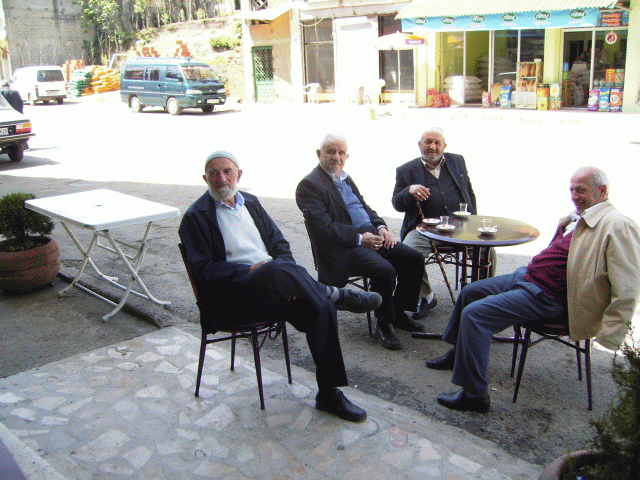 Cesitli