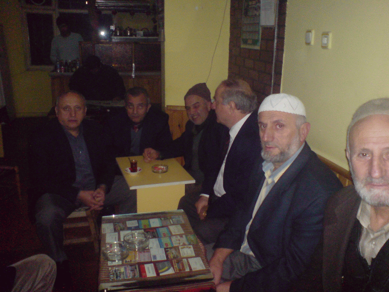 Cesitli