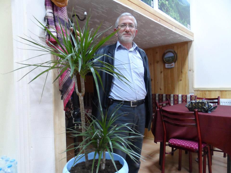 Cesitli