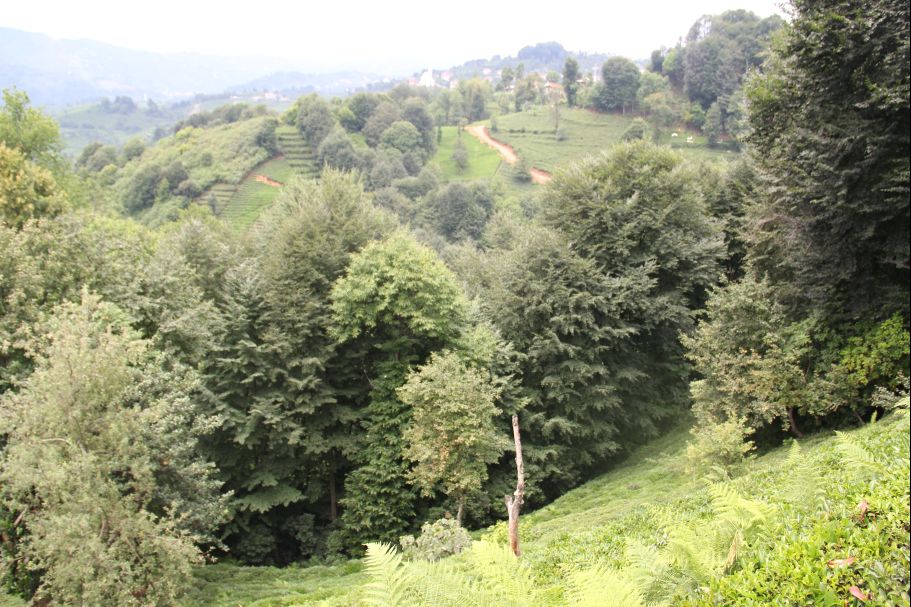 Kendirli Beldesi