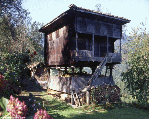 Rize