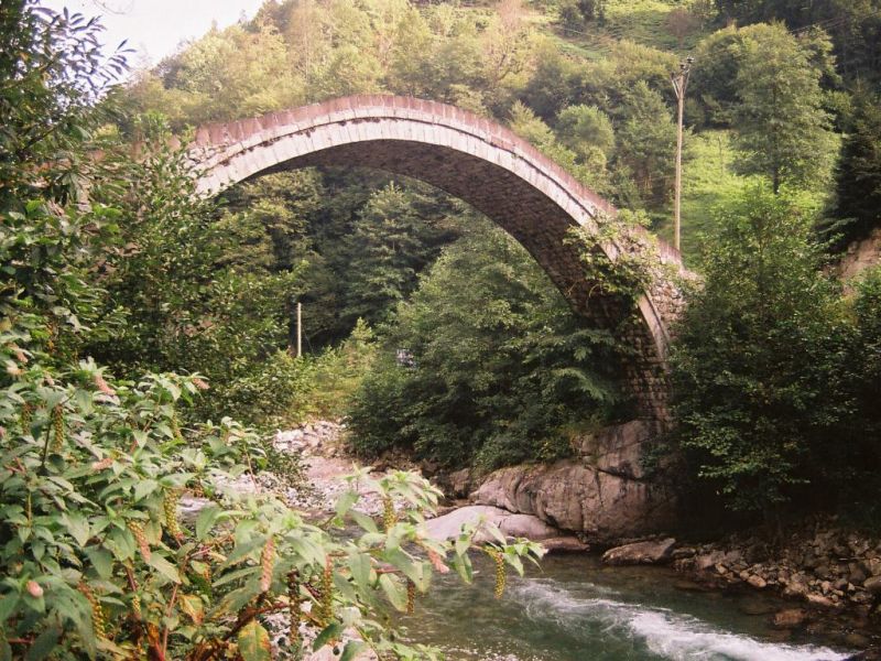 Rize