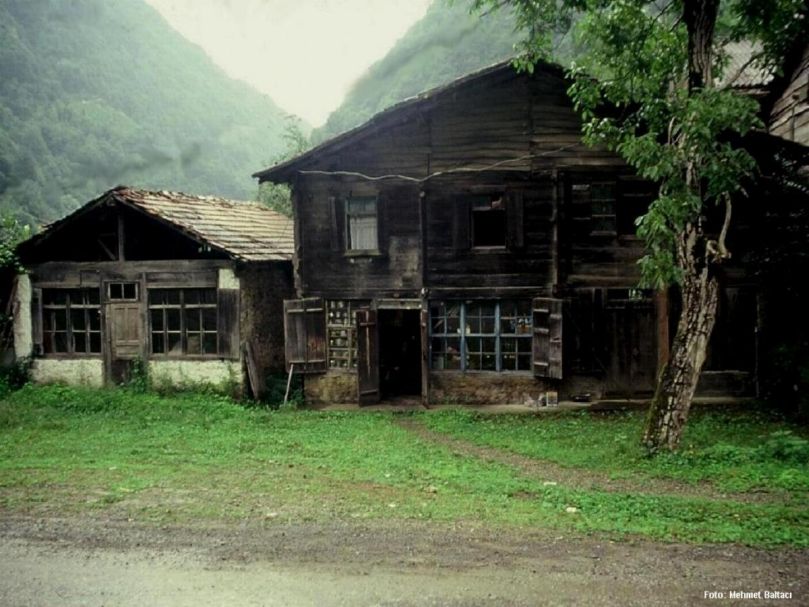 Rize