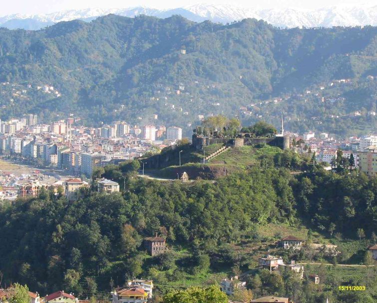 Rize