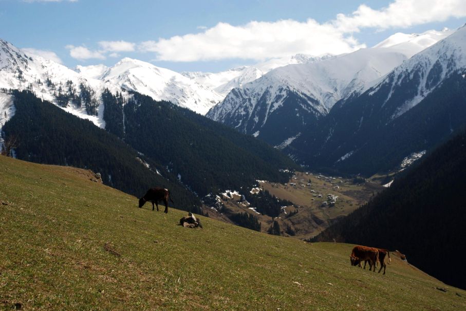 Rize