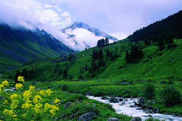 Rize