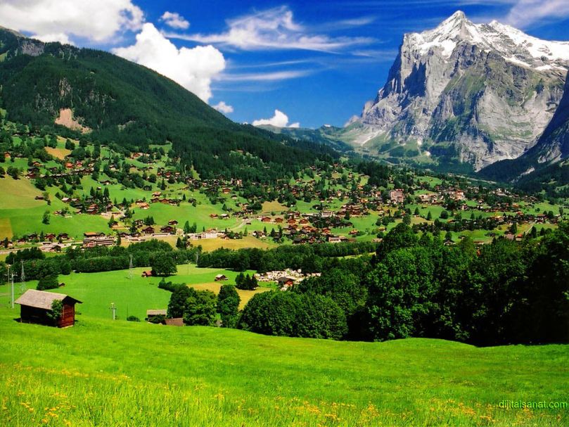 Rize
