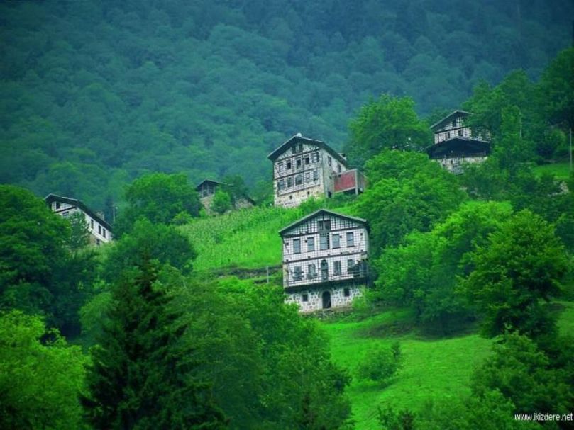 Rize