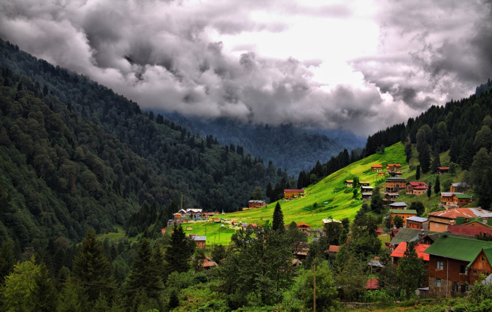 Rize