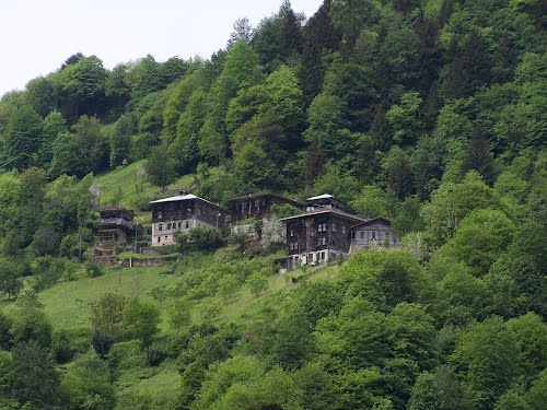 Rize