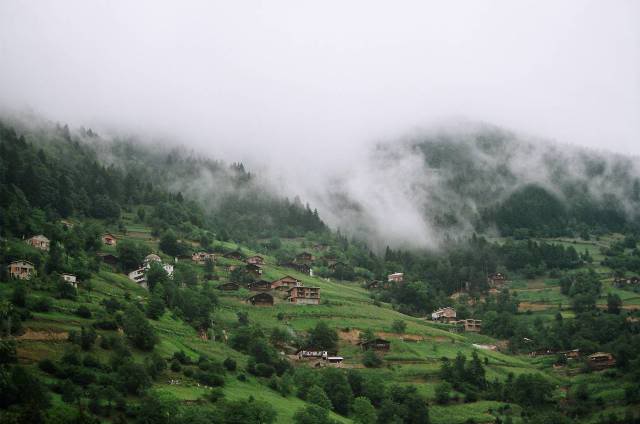 Rize