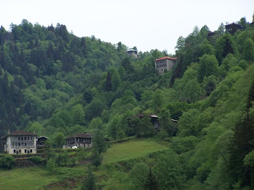 Rize