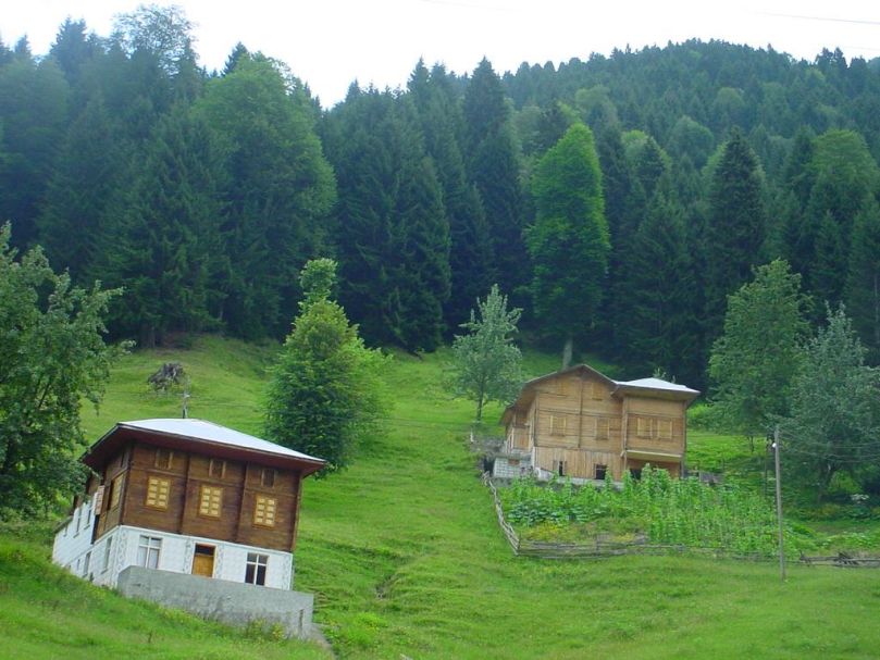 Rize