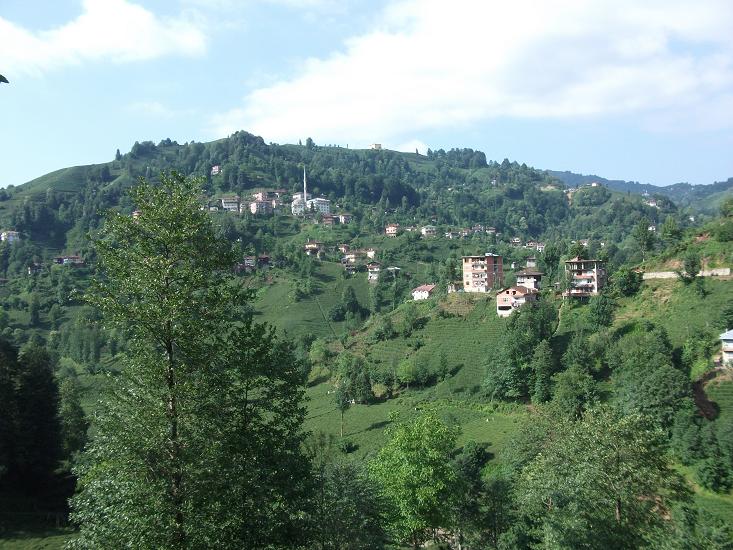 Rize