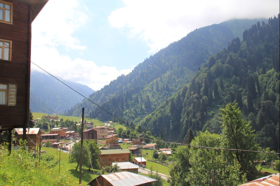 Rize