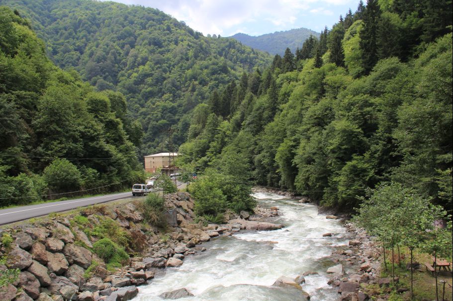 Rize