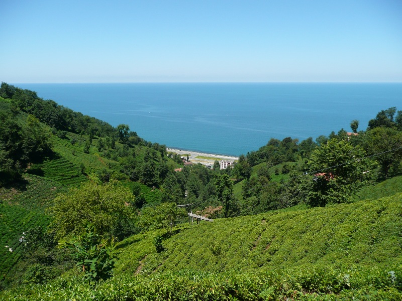 Rize
