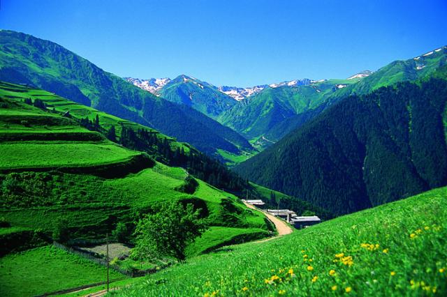Rize