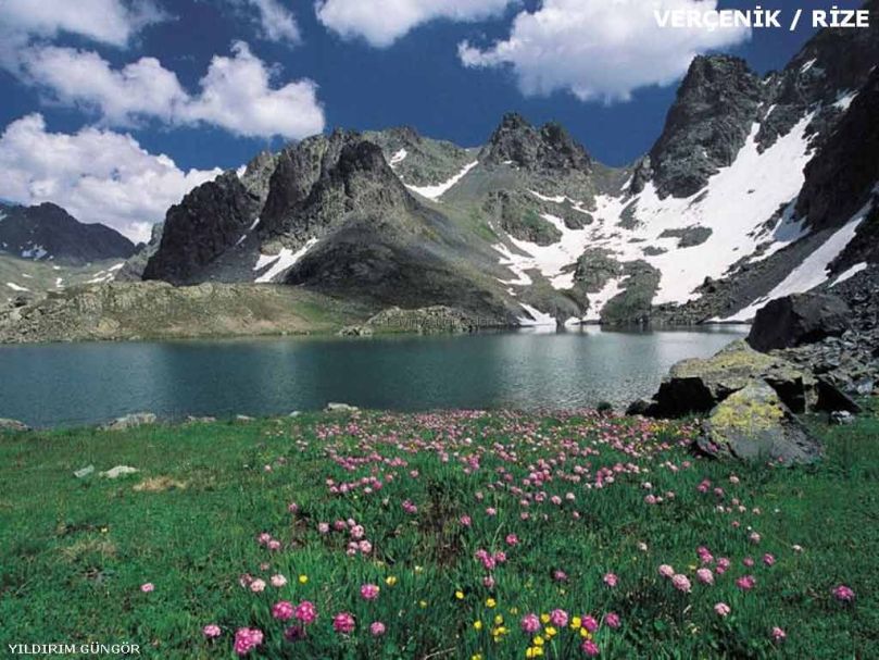 Rize