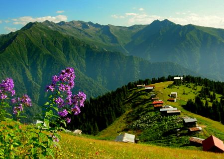 Rize