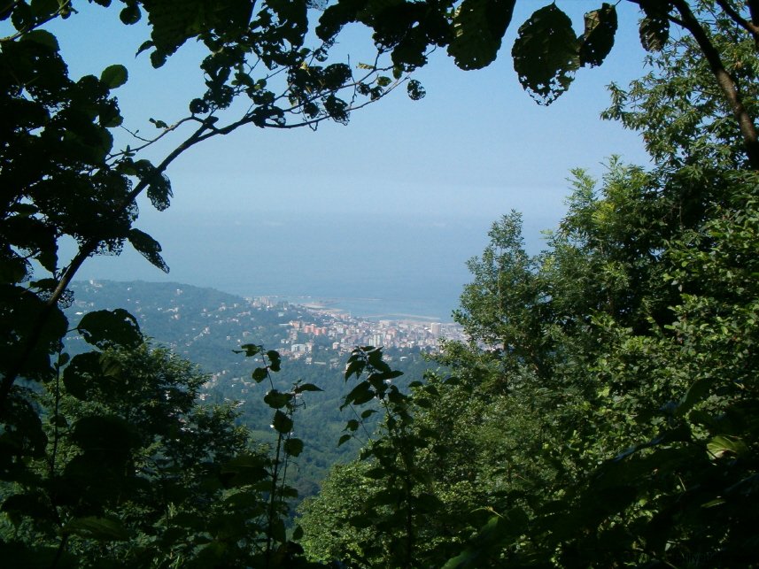 Rize